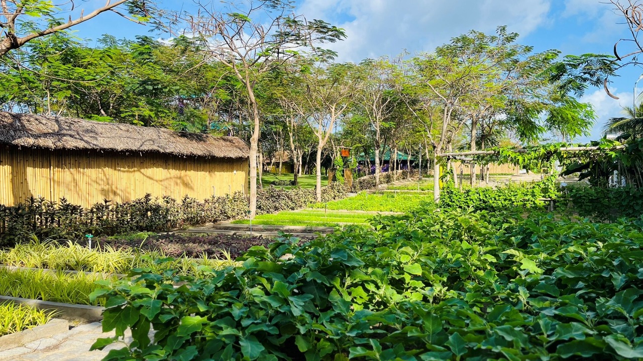 Photo of Outdoor in Ninh Hoa