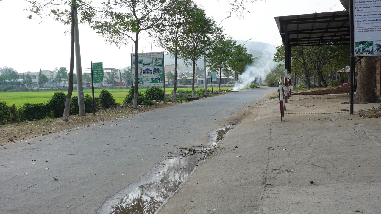 Photo of Others in Lien Son