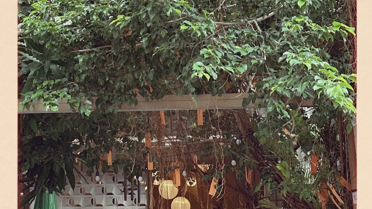Photo of Outdoor in Ninh Kieu