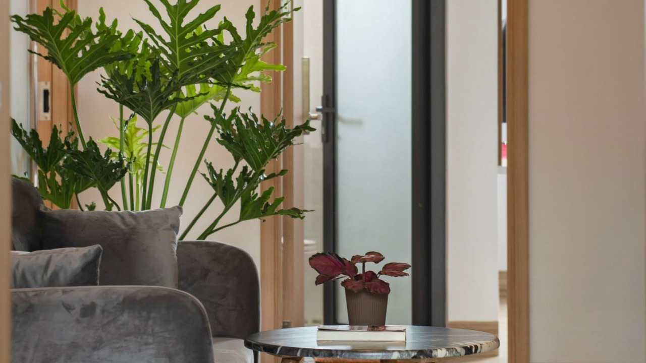 Photo of Livingroom in Cam Lam