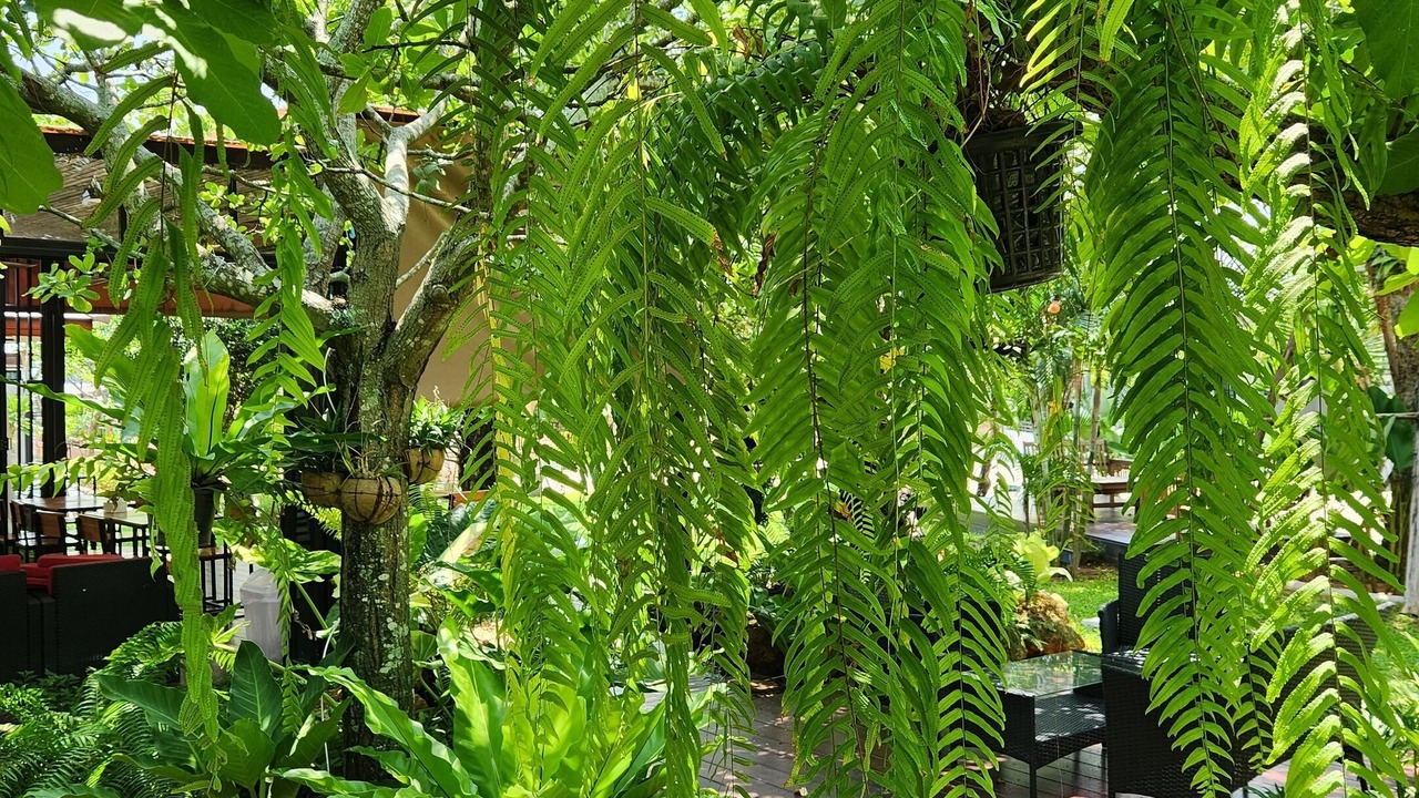 Photo of Outdoor in Huai Yai