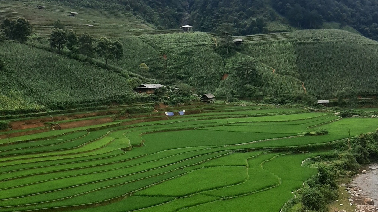 Photo of Outdoor in Mu Cang Chai