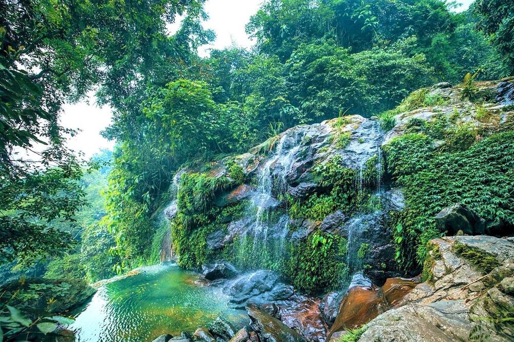 Photo of Outdoor in Van Mieu