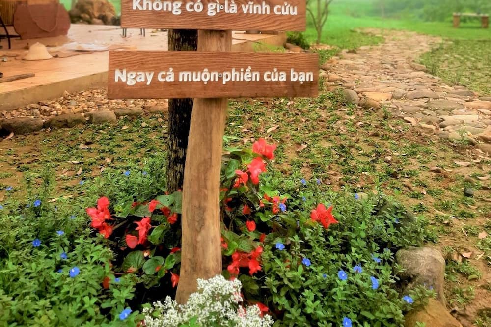 Photo of Others in Van Mieu