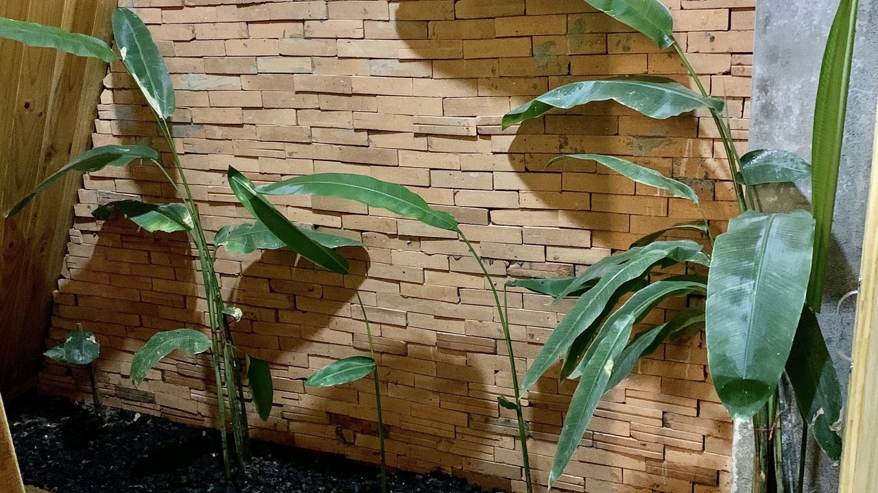 Photo of Bathroom in Pleiku