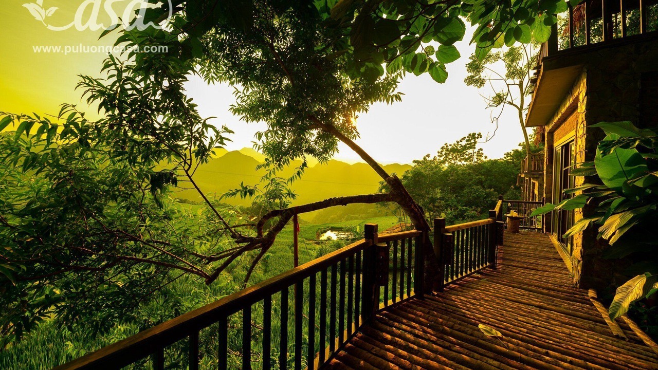 Photo of Others in Pu Long Nature Reserve