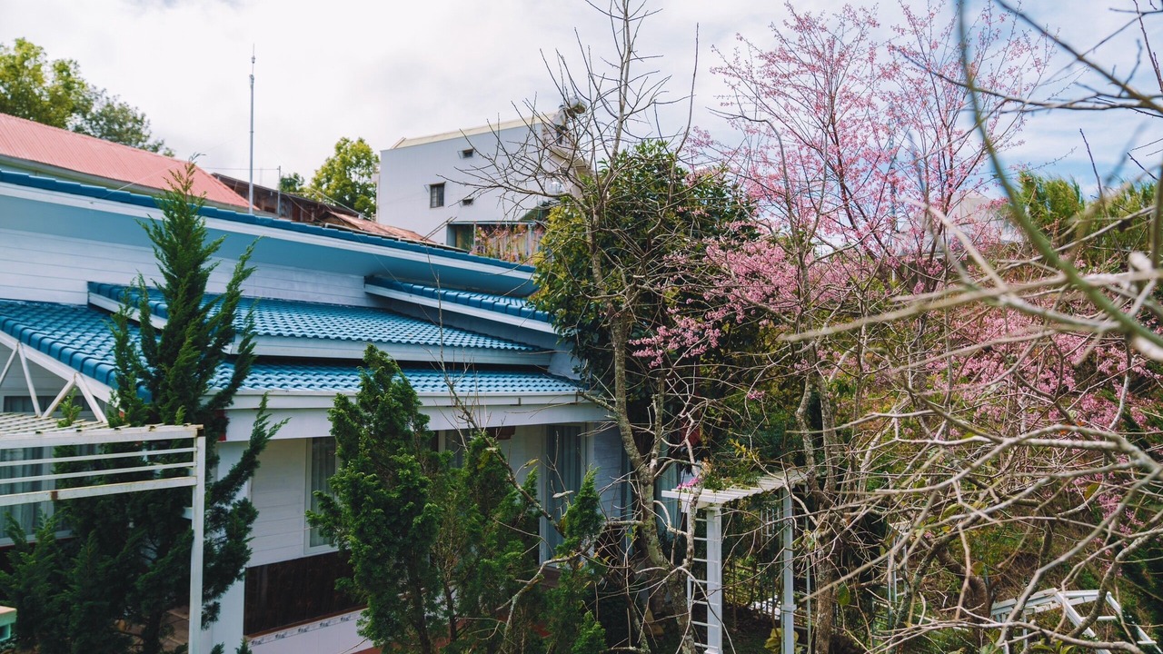 Photo of Others in Da Lat