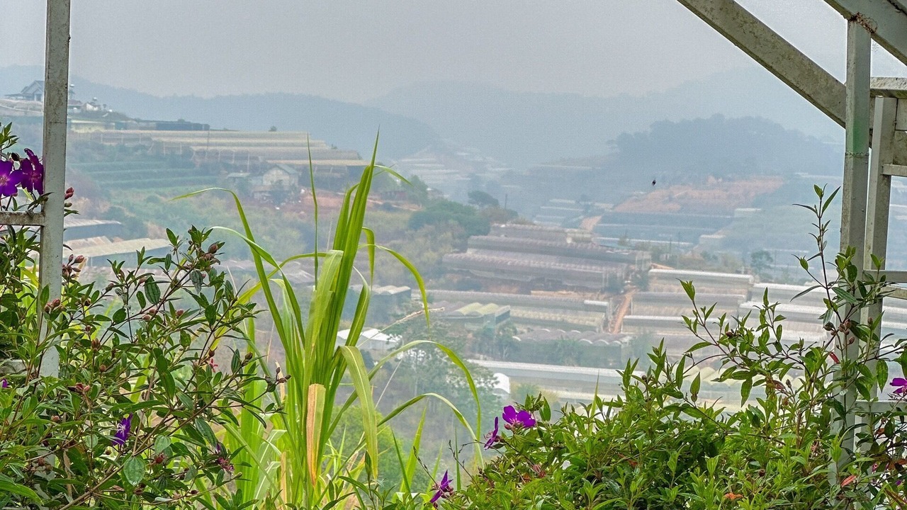 Photo of Others in Da Lat