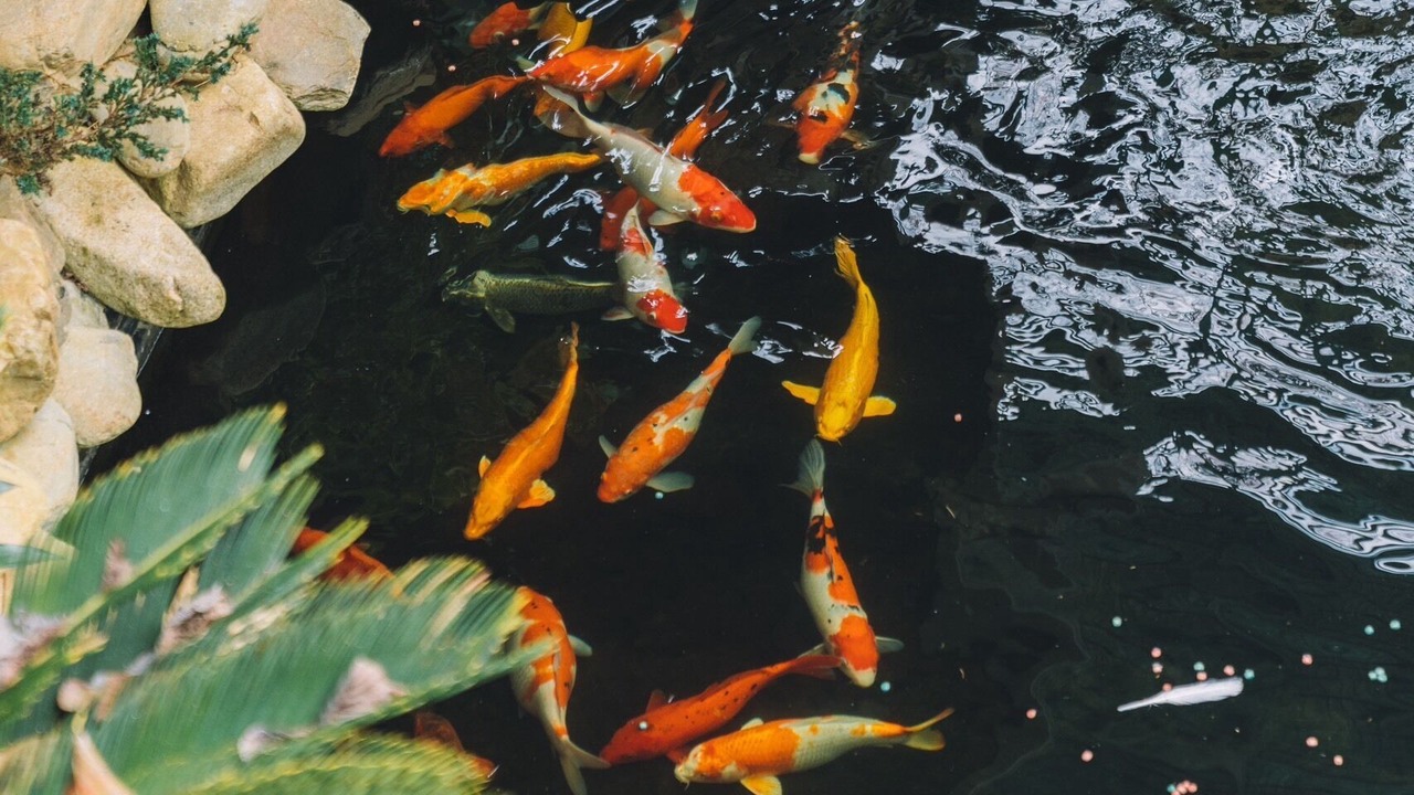 Photo of Outdoor in Da Lat