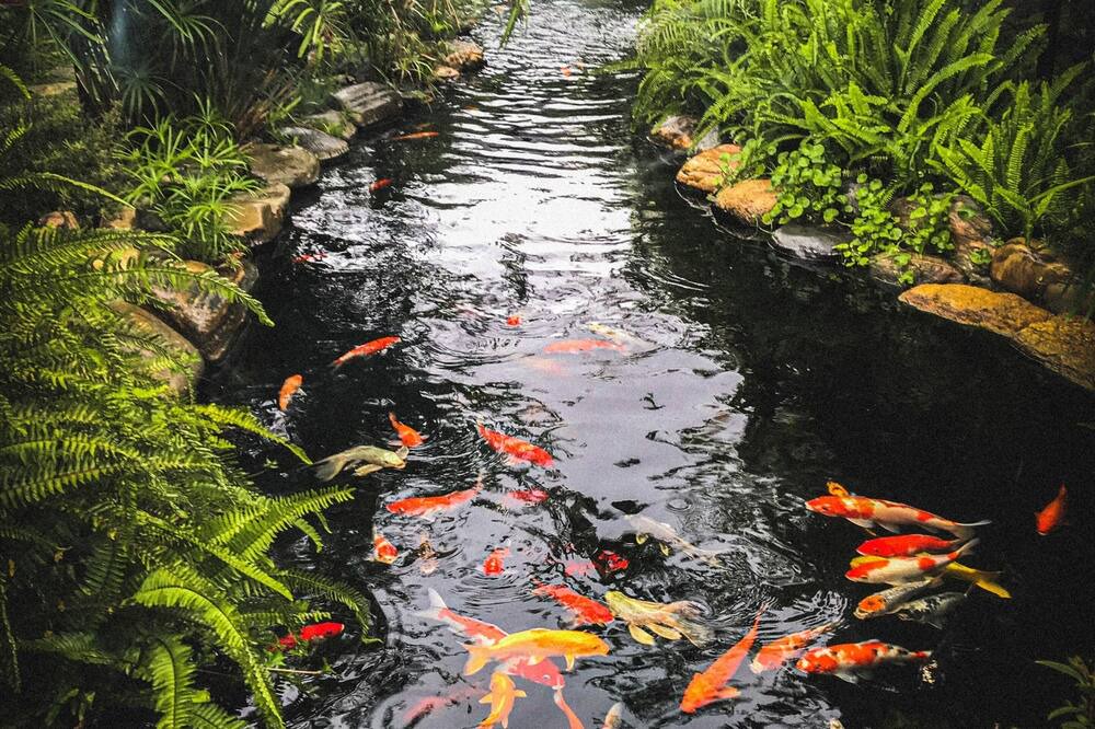 Photo of Outdoor in Kon Tum