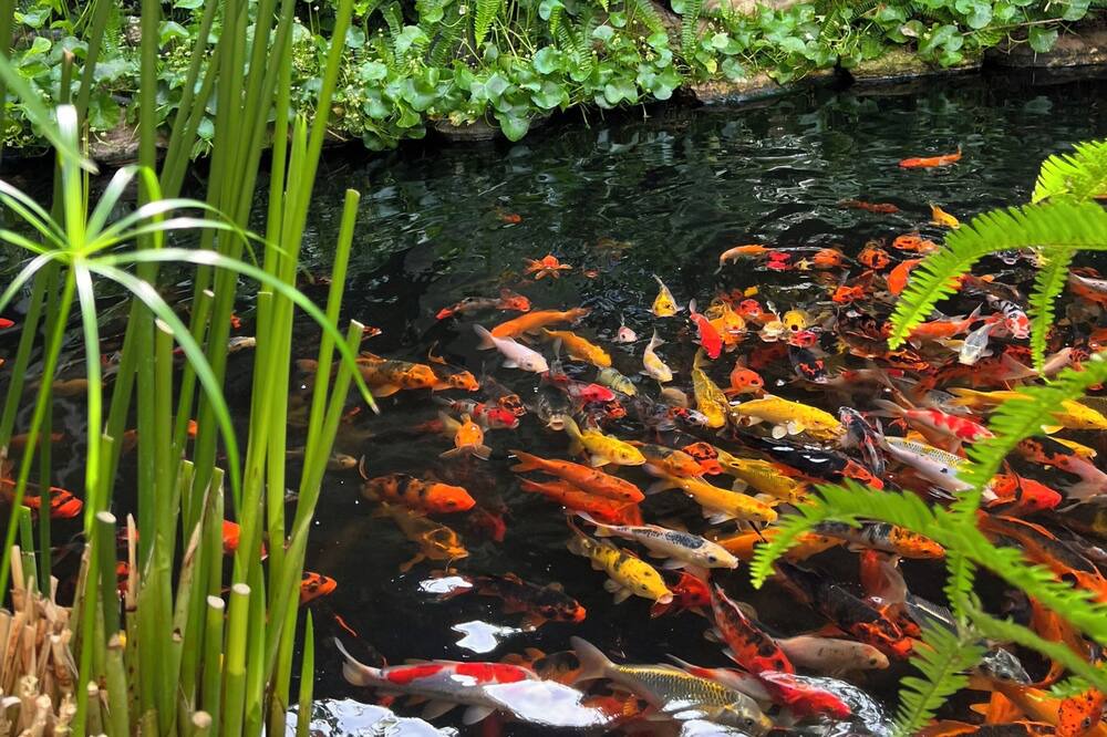 Photo of Outdoor in Kon Tum