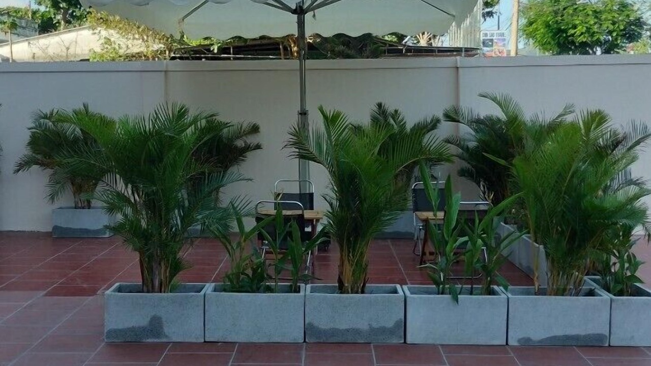 Photo of Outdoor in Con Son