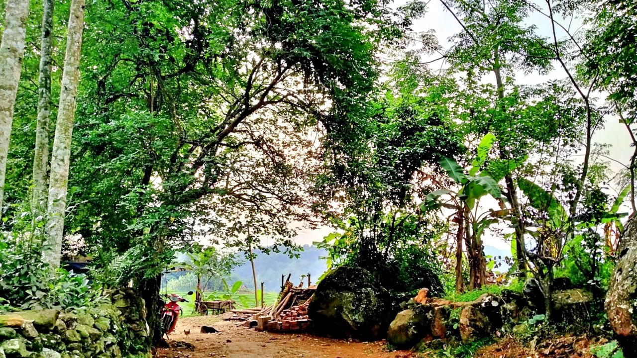 Photo of Outdoor in Kho Muong