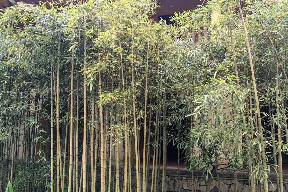 Photo of Outdoor in Uong Bi