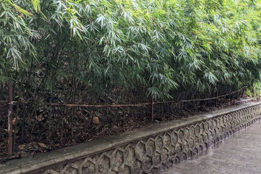 Photo of Outdoor in Uong Bi