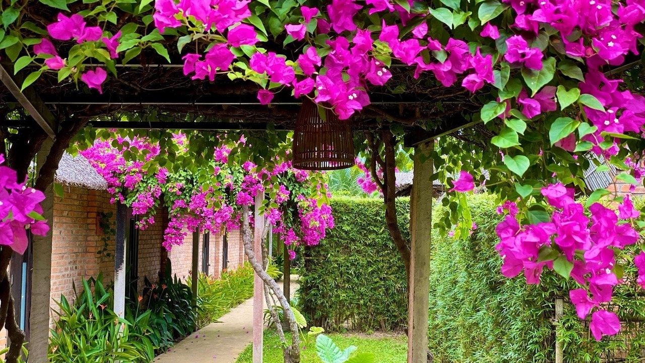 Photo of Outdoor in Cam Thanh