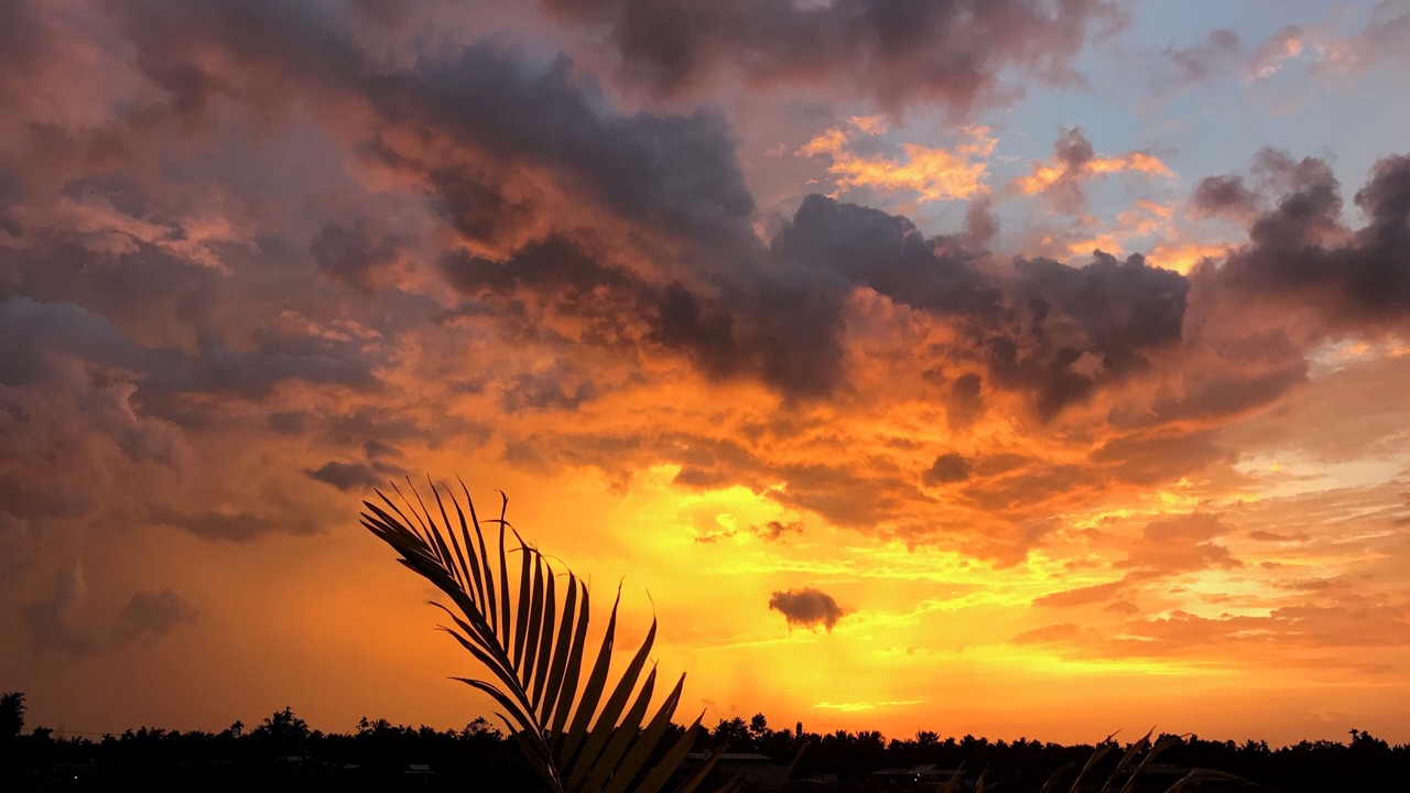 Photo of Outdoor in Giong Trom
