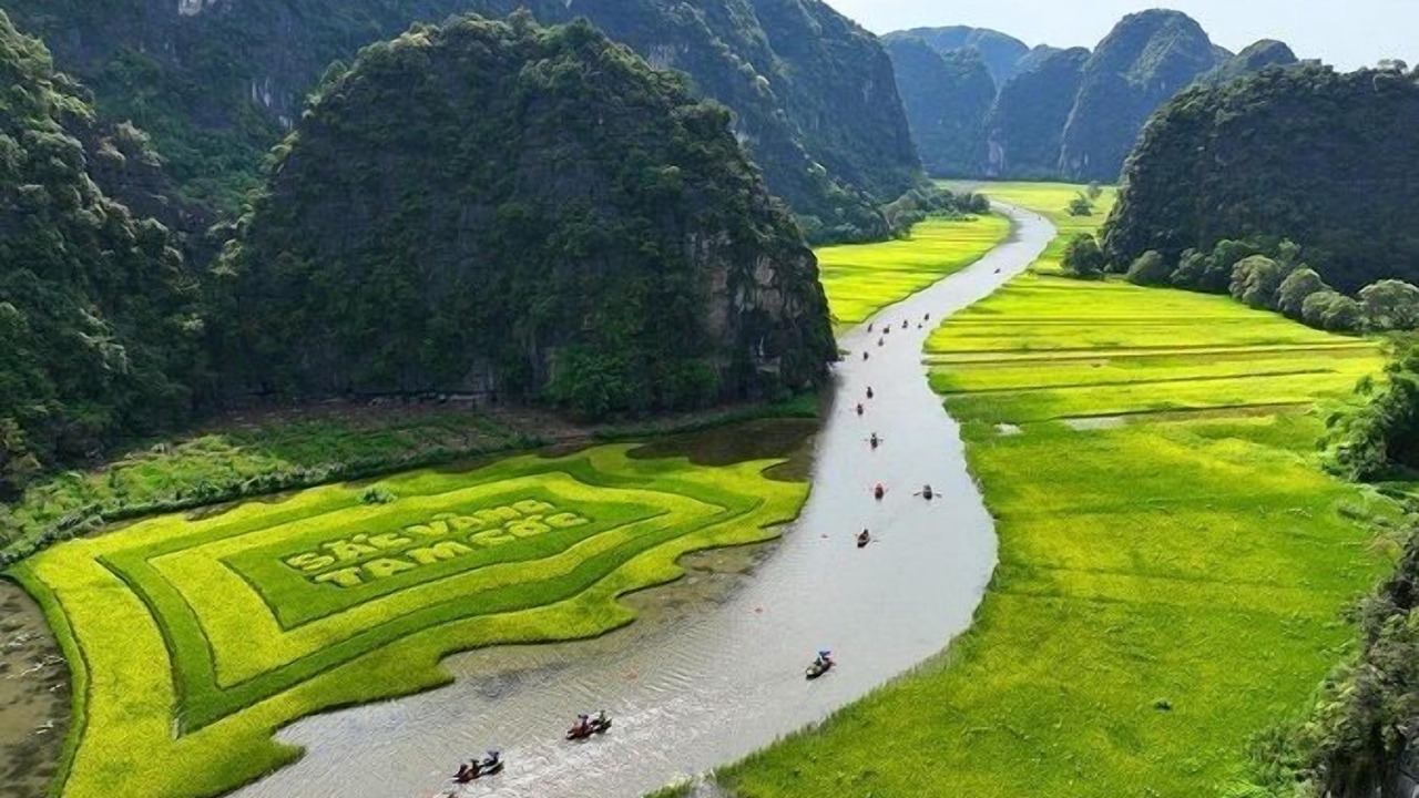 Photo of Others in Hoa Lu