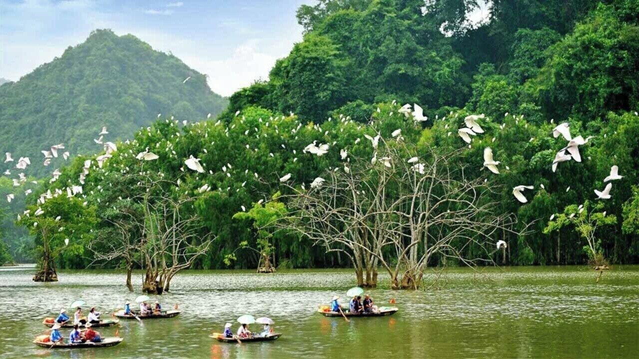 Photo of Others in Hoa Lu