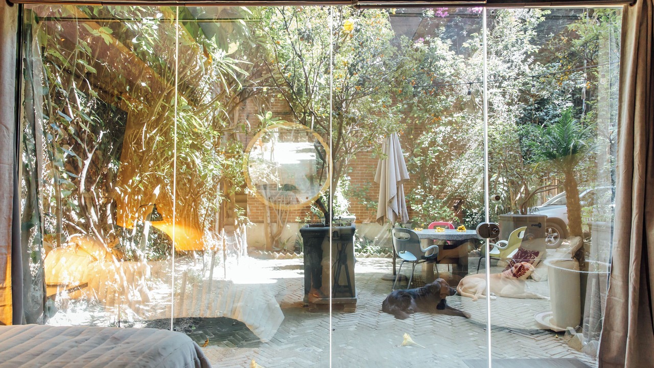 Photo of Outdoor in Roma Norte