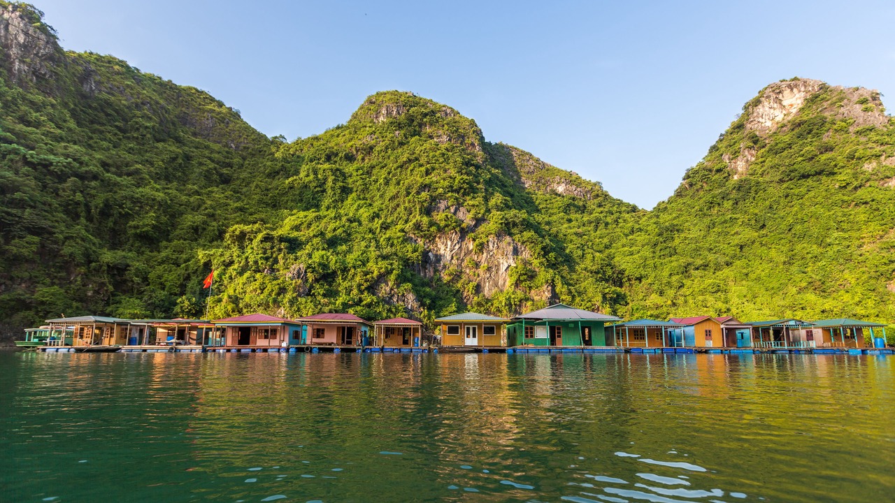 Photo of Others in Ha Long
