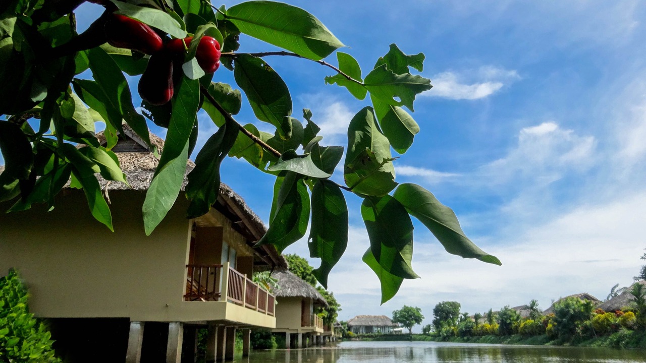 Photo of Outdoor in Cai Be