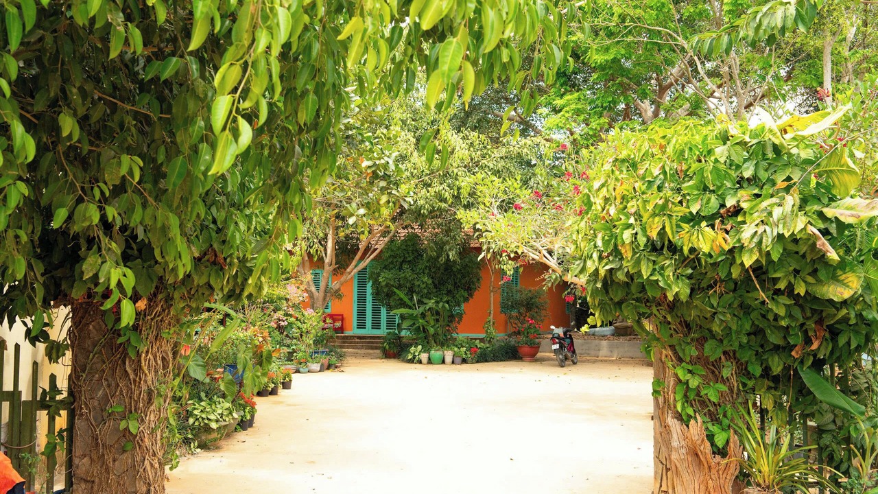 Photo of Outdoor in Di Linh