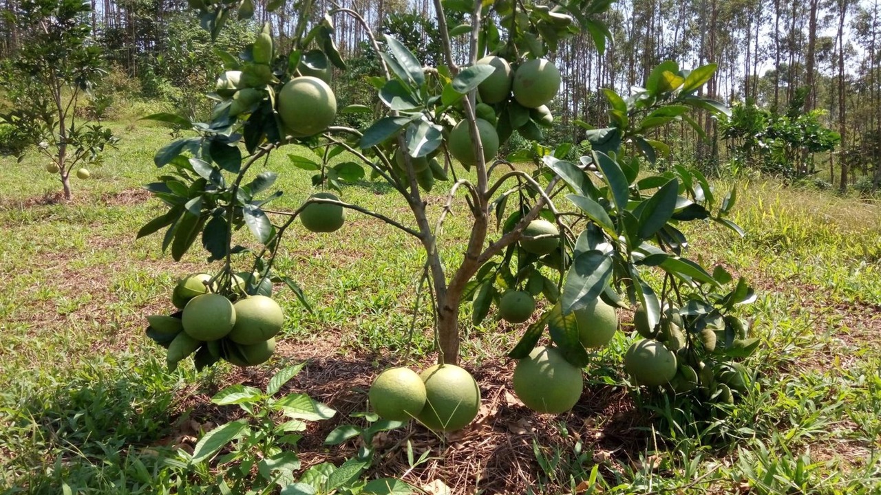 Photo of Outdoor in Ngoi Tu
