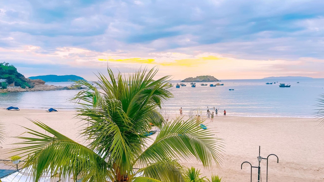 Photo of Others in Quy Nhon