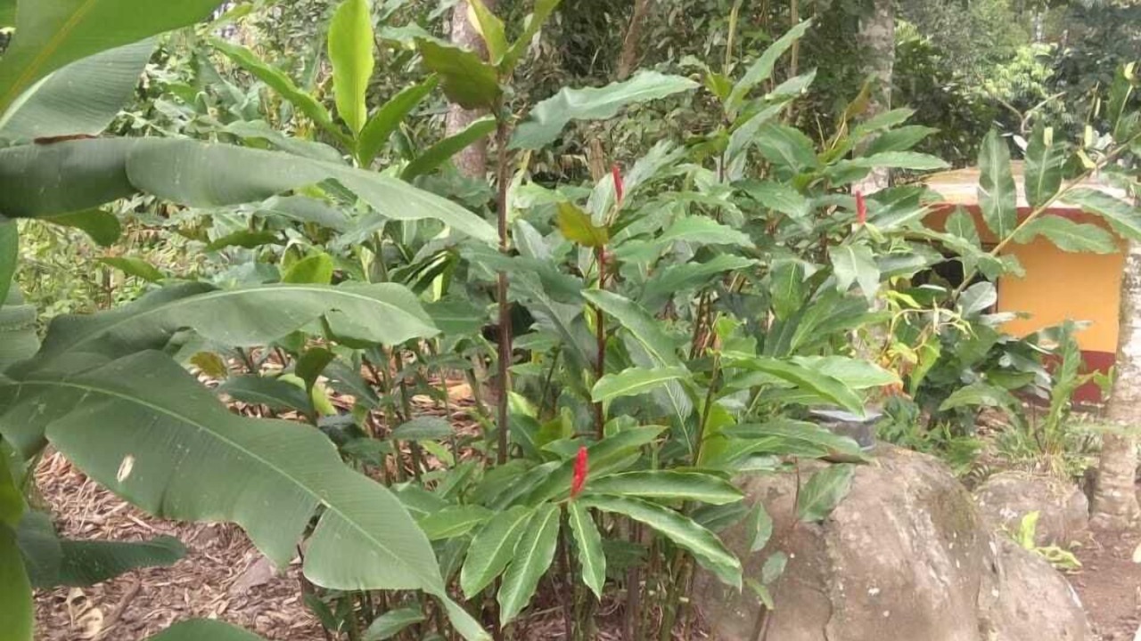 Photo of Outdoor in Catemaco