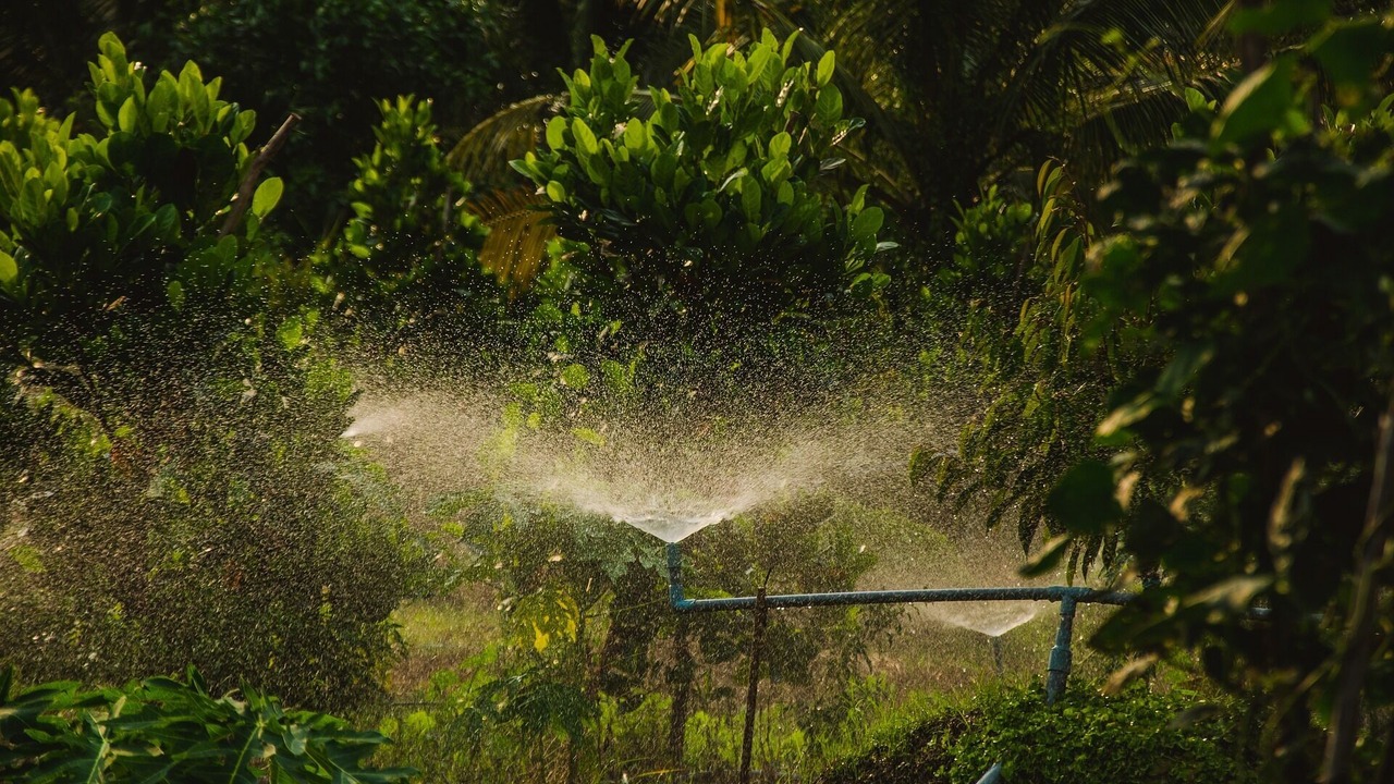 Photo of Outdoor in Cai Be