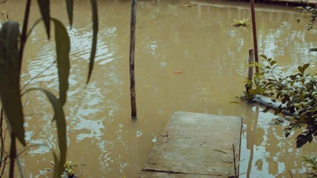 Photo of Outdoor in Cai Be
