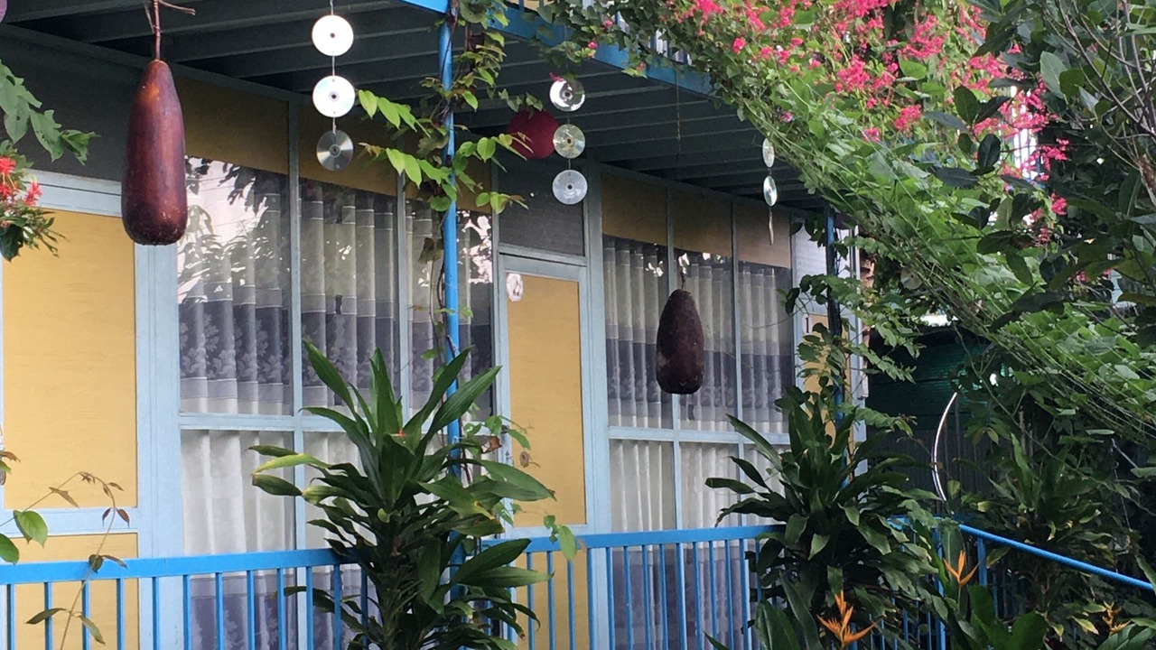 Photo of Outdoor in Cai Be