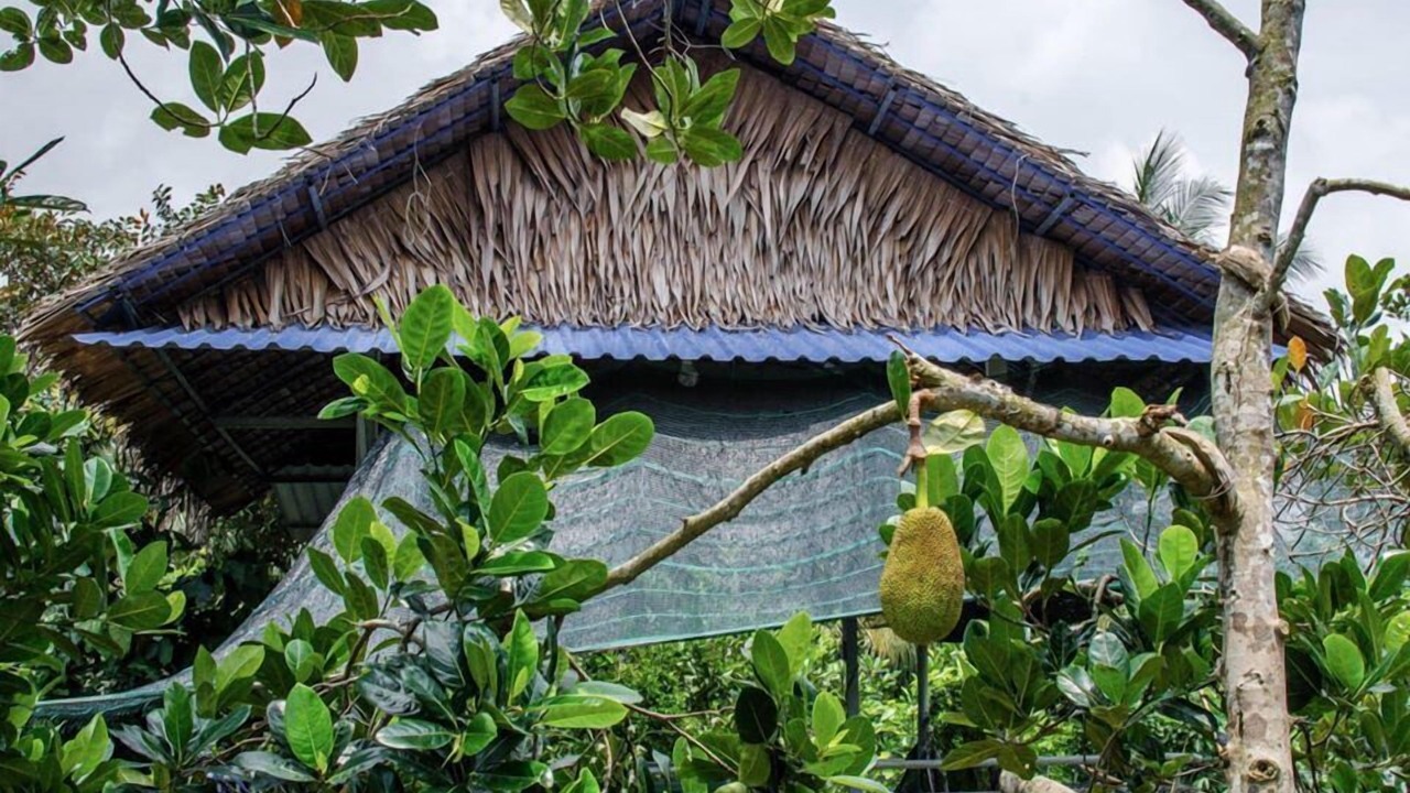 Photo of Outdoor in Cai Be