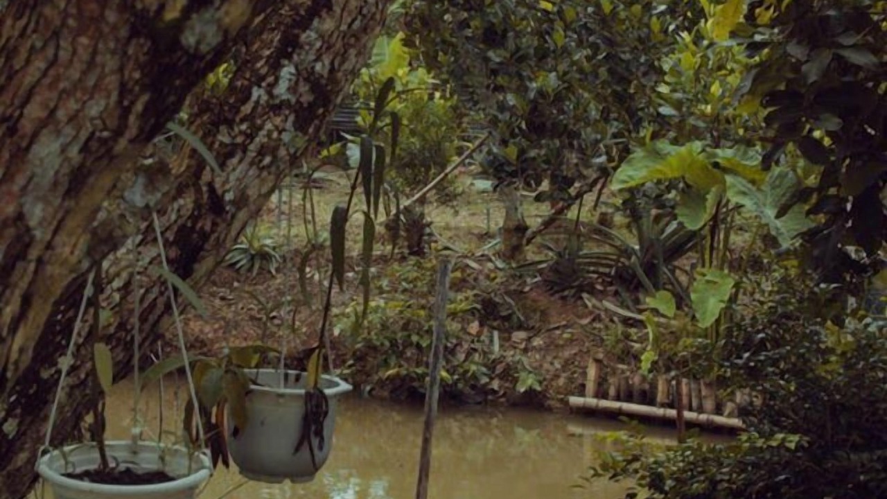 Photo of Outdoor in Cai Be