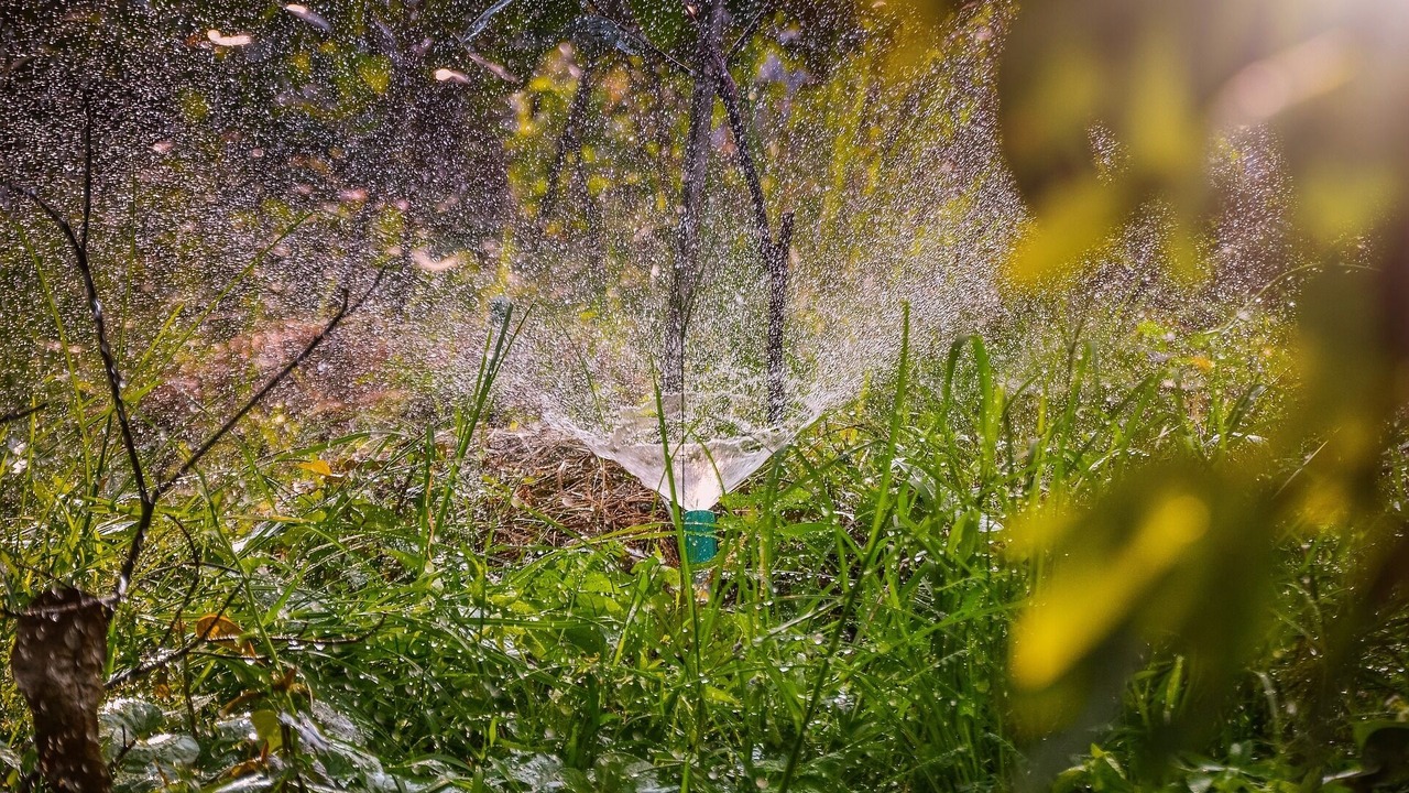 Photo of Outdoor in Cai Be