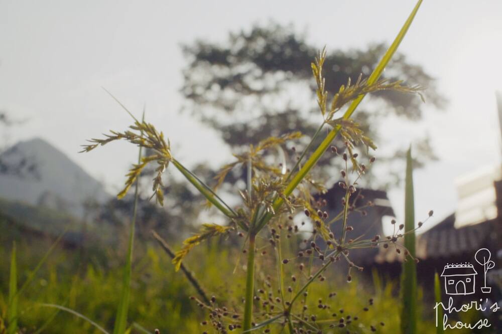 Photo of Outdoor in Sa Pa