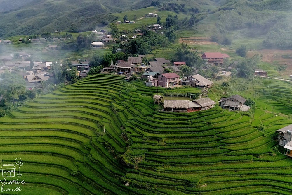Photo of Others in Sa Pa