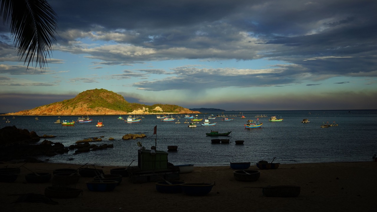 Photo of Outdoor in Quy Nhon