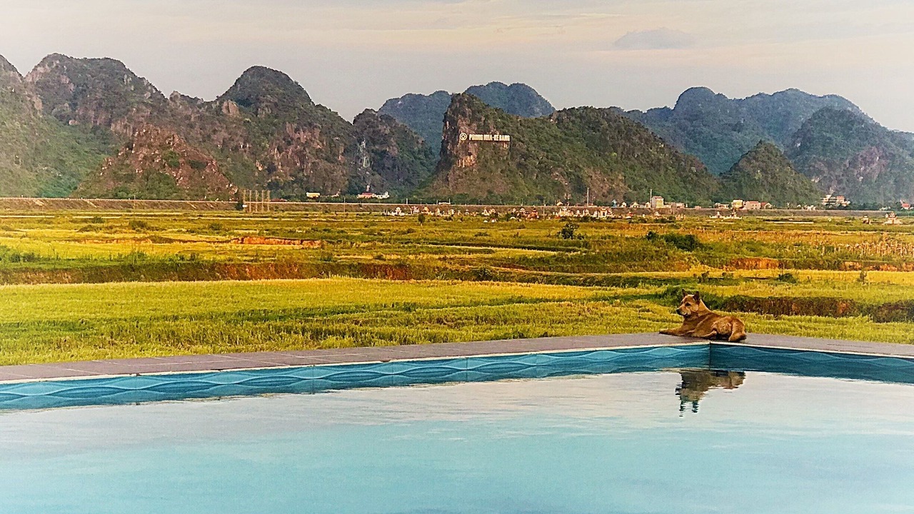 Photo of Others in Bo Trach