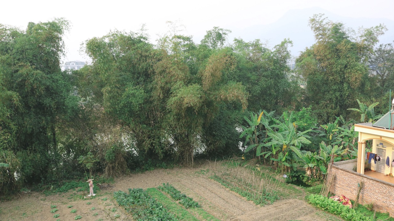 Photo of Bedroom in Cao Bang