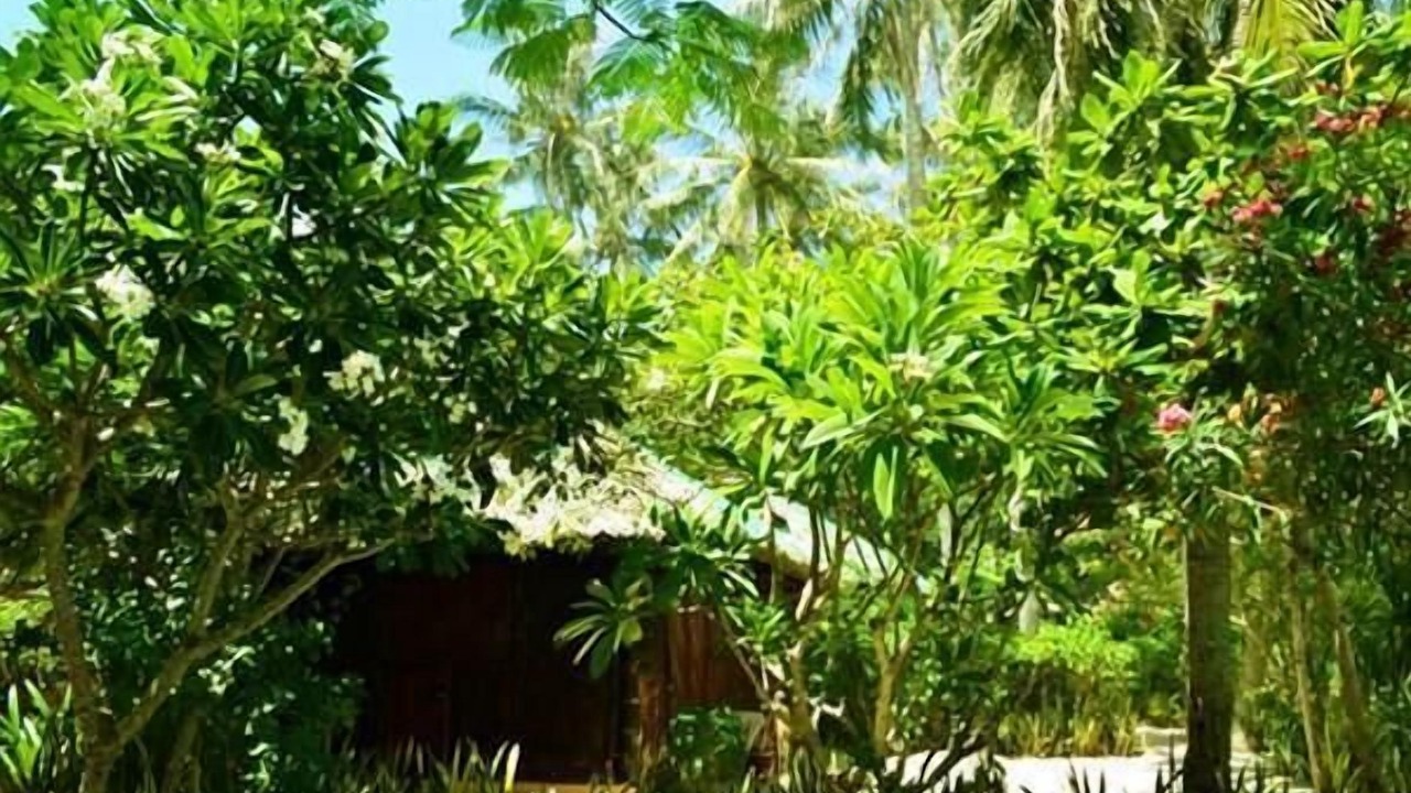 Photo of Outdoor in Van Ninh