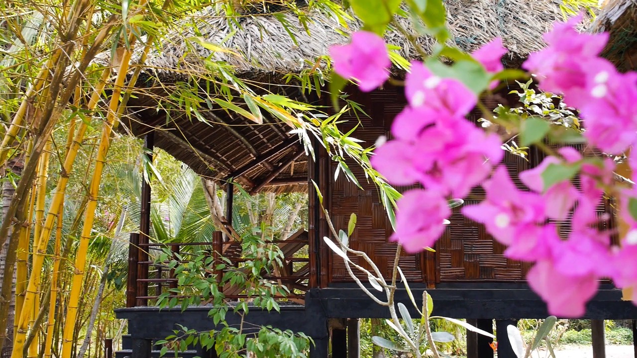 Photo of Outdoor in Van Ninh