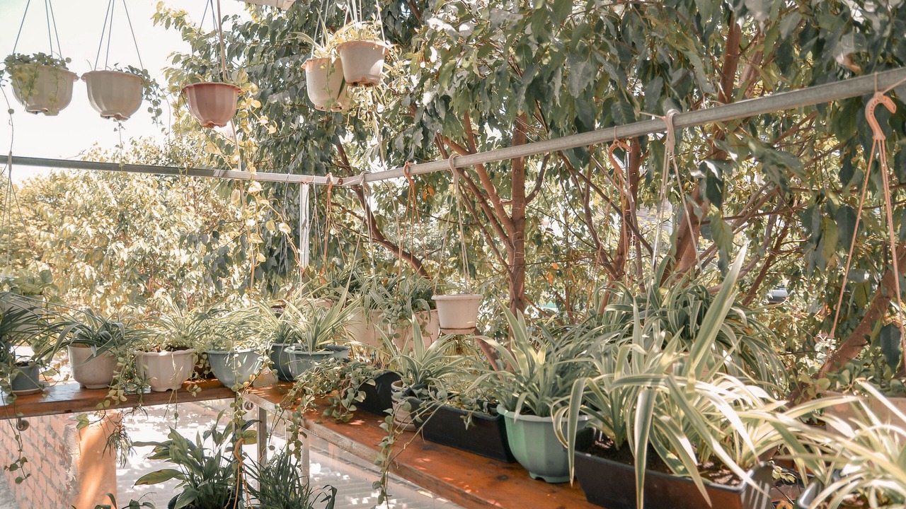 Photo of Outdoor in Con Son