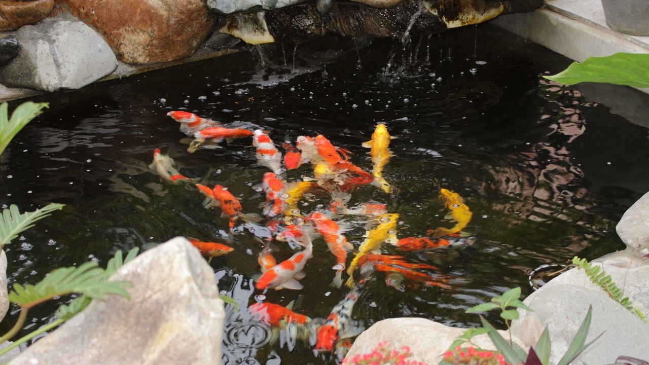 Photo of Outdoor in Tuy Hoa