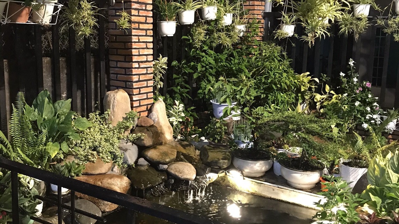 Photo of Outdoor in Tuy Hoa