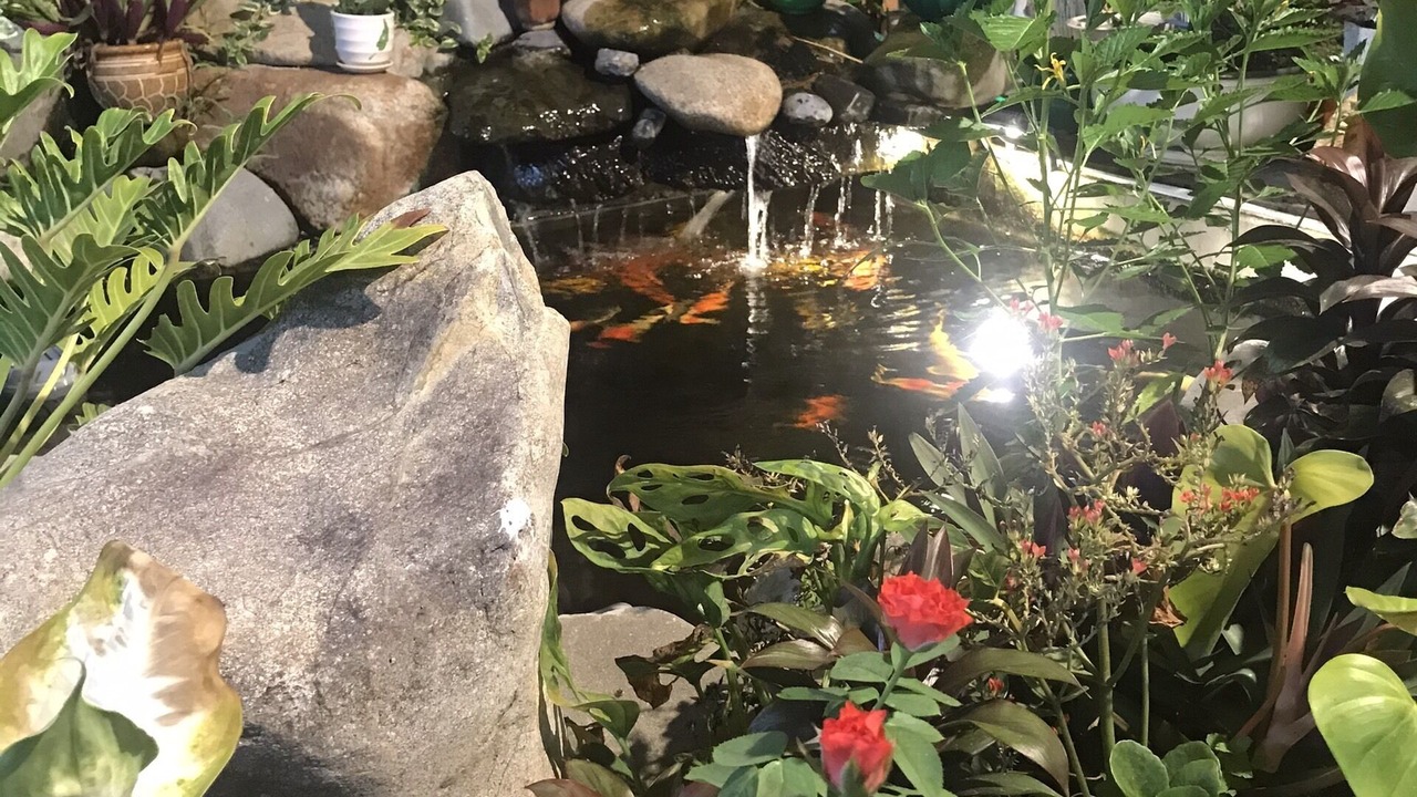Photo of Outdoor in Tuy Hoa