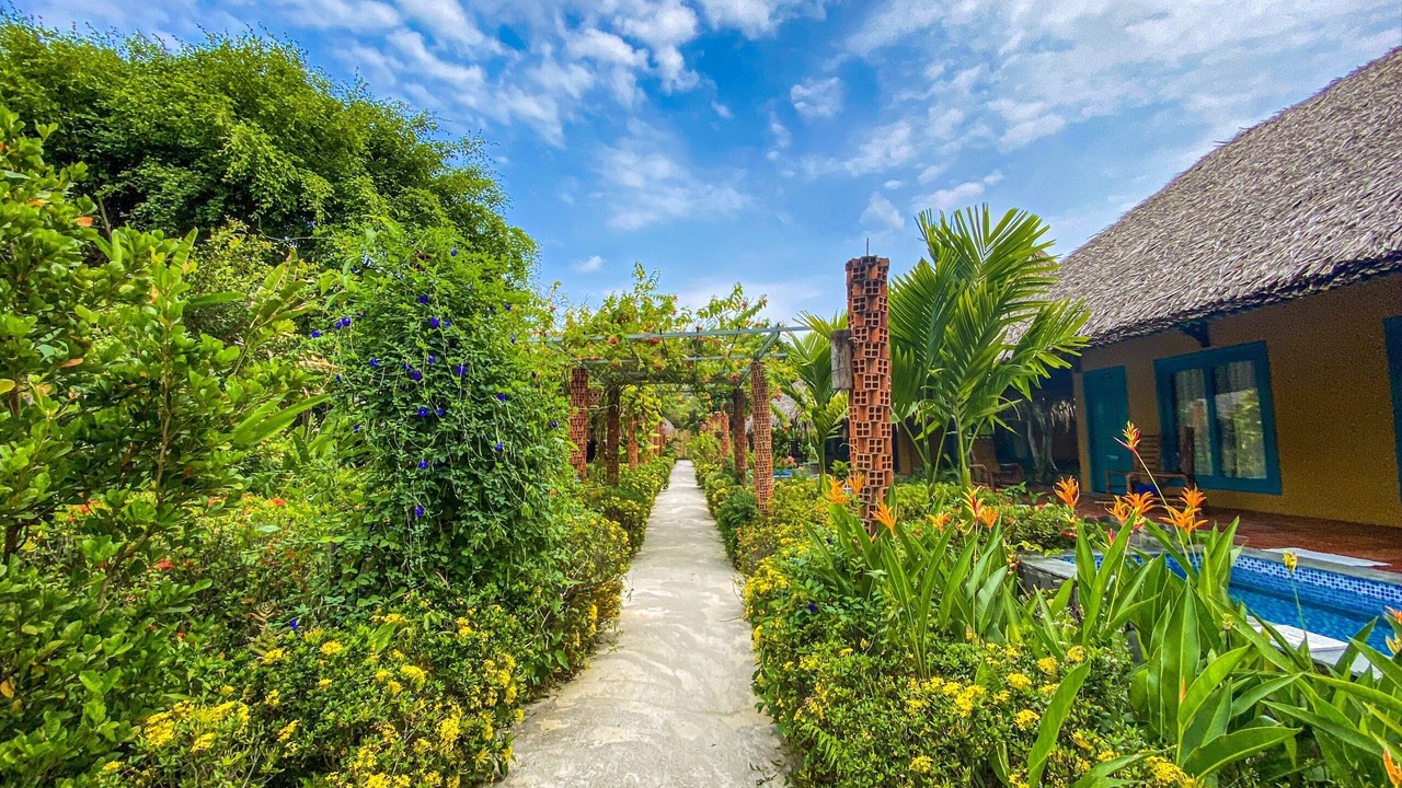 Photo of Outdoor in Cai Be