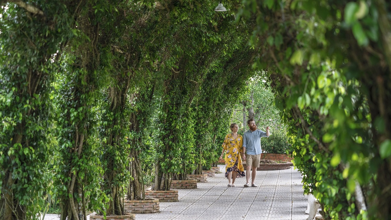 Photo of Outdoor in Cai Be