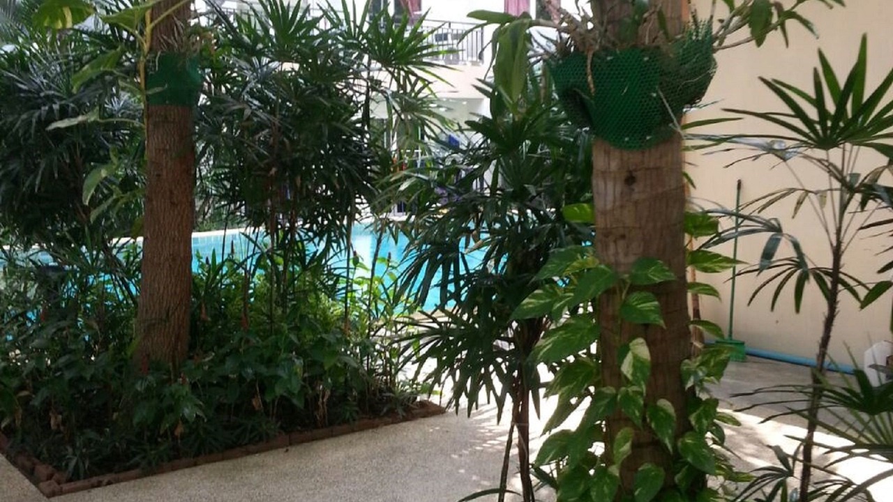 Photo of Outdoor in South Pattaya